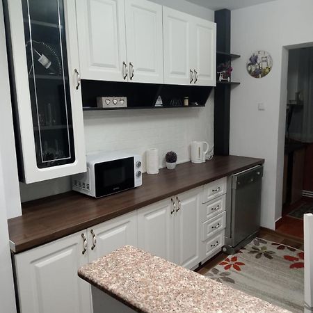 Penti Apartament Suceava Eksteriør bilde